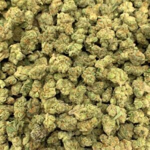 Close-up of Gary Payton THCa Flower, highlighting the strain's unique characteristics and trichome structure