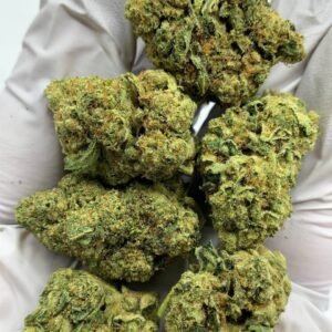 Close-up of Grandi Guava THCa Flower, highlighting the strain's unique characteristics and trichome structure