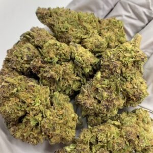 Close-up of Gushers THCa Flower, highlighting the strain's unique characteristics and trichome structure