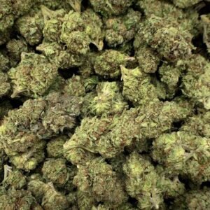 Close-up of Rainbow Sherbet THCa Flower, highlighting the strain's unique characteristics and trichome structure