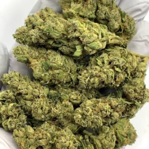 Fire OG THCa Flower for Bulk Wholesale