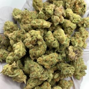 Gary Payton THCa Flower buds on a white background, showcasing dense, frosty nugs with a sweet, earthy aroma