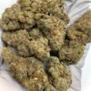 Gelato Mintz Exotic THCa Flower for Wholesale Purchase