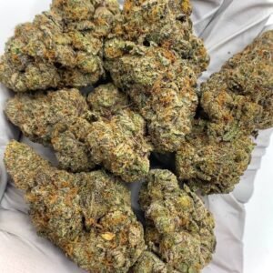 Gelato Mintz Exotic THCa Flower for Wholesale Purchase