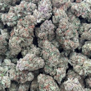 Girl Scout Cookies HHC Flower - Wholesale HHC Buds - High-Quality Cannabis