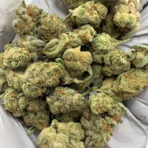 Home 24 Grapes and Cream THCa Flower buds on a white background, showcasing dense, purple-hued nugs with a sweet, fruity aroma