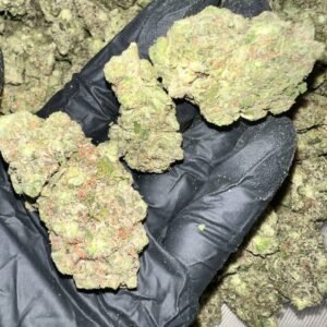 Hash Burger THCa Flower buds on a white background, showcasing dense, frosty nugs with a sweet, earthy aroma
