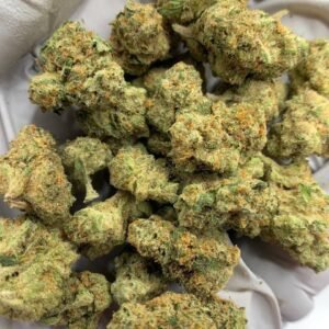 Home 17 Honey Buns Exotic THCa Flower buds on a white background, showcasing dense, frosty nugs with a sweet aroma