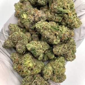 Pink Gummy Exotic THCa Flower with vibrant buds and sweet, fruity aroma