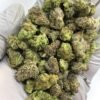Platinum Lemon Gushers THCa Flower with vibrant citrus aroma and resin-covered buds