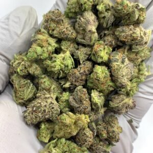 Platinum Lemon Gushers THCa Flower with vibrant citrus aroma and resin-covered buds
