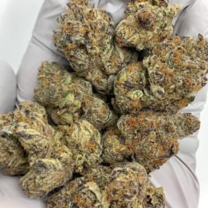 Home 25 Sour Cherry Exotic THCa Flower with vibrant, resin-coated buds and a sweet, tangy aroma