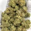 Wholesale Bolo Runtz Exotic THCa Hemp Flower - Bulk THCa Flower
