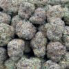 Wholesale Purple Punch HHC Flower - Bulk HHC Buds - High-Quality Cannabis