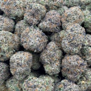 Wholesale Purple Punch HHC Flower - Bulk HHC Buds - High-Quality Cannabis