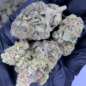 A close-up of Molotov Cocktail THCa Flower showcasing its dense, crystal-covered buds.