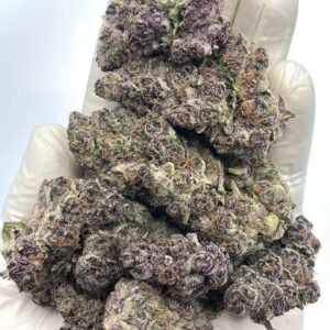 Blockberry THCA Flower - Sweet Berry Hybrid Cannabis for Wholesale Buyers