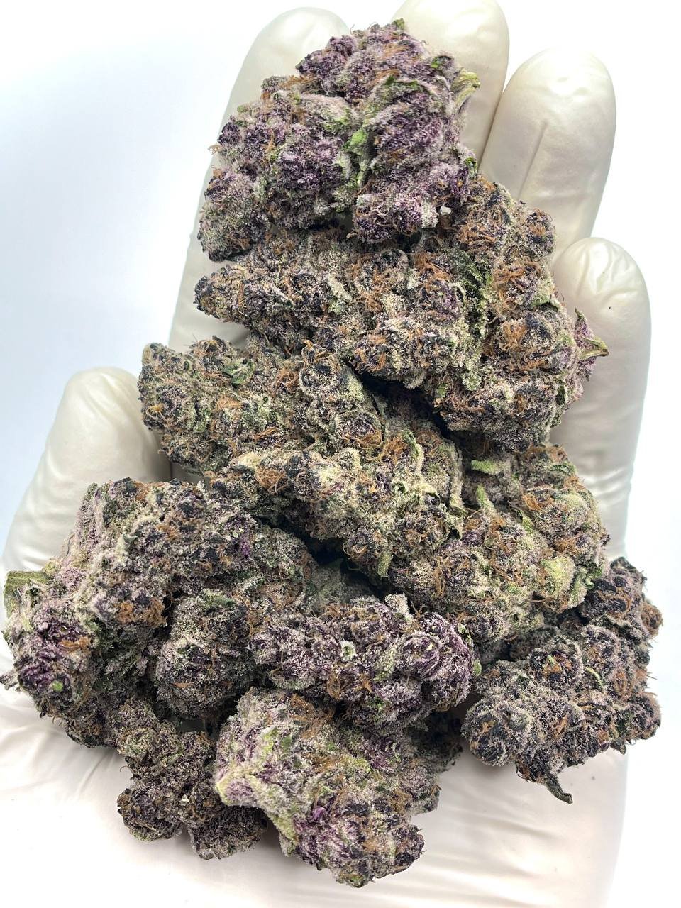 Hybrid THCA