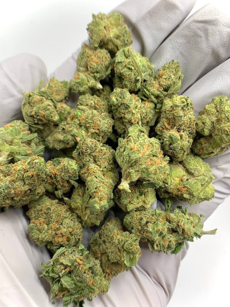 Blue Skunk THCa Flower 1 Blue Skunk THCa Flower, premium bulk hemp flower, high THCa content, minty flavor, wholesale hemp