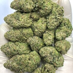 Cap Junky THCA Flower - Potent Hybrid with Diesel and Sour Notes for Wholesale Buyers