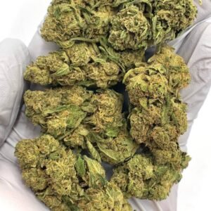 Hi-Octane Cookies THCa Flower, premium bulk hemp flower, high THCa content, minty flavor, wholesale hemp