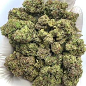 Joker Candy THCA Flower - Sweet Hybrid Cannabis Strain for Wholesale Buyers