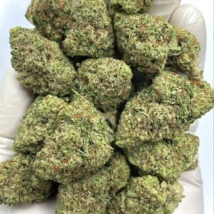 Papaya Punch THCA Flower - Tropical Hybrid Cannabis Strain for Wholesale Buyers