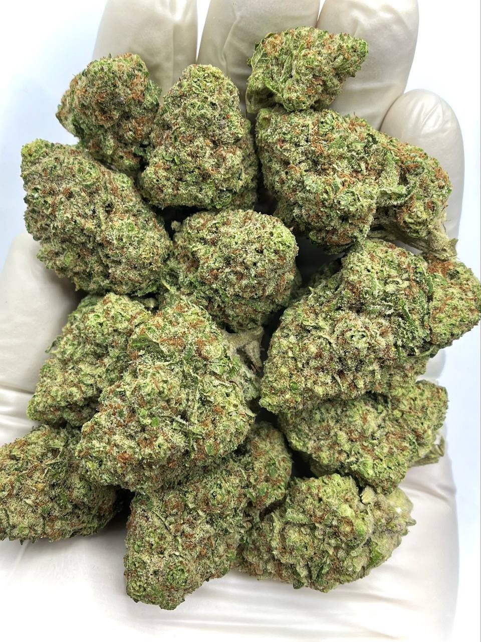 Papaya Punch THCA
