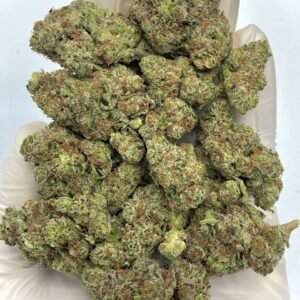 Rainbow Push Pop THCA Flower - Sweet, Colorful Hybrid for Wholesale Buyers