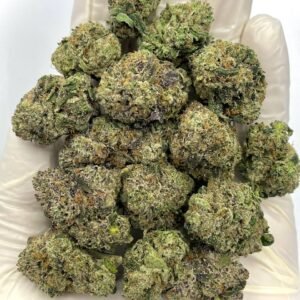 Razzmatazz Runtz THCA Flower - Sweet Berry-Flavored Hybrid Cannabis