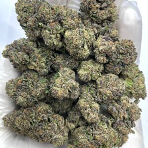Shirley Temple THCA Flower - Fruity Hybrid Cannabis with Balanced Relaxation