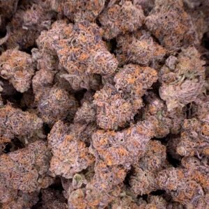 Sundae Driver THCa Flower – Premium cannabis strain with calming effects and sweet creamy flavor.