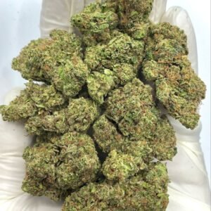 Tropicana Kush THCA Flower - Tropical Hybrid Cannabis for Wholesale