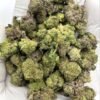 Animal Funk THCA Flower, premium strain for wholesale buyers