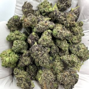 Home 19 Premium Grape Gelato THCA Flower wholesale, aromatic and potent buds