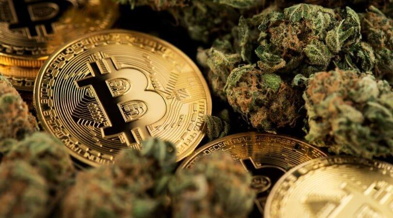 How to pay with bitcoin. Step by step guide. 2 Buying weed with bitcoin