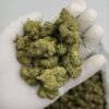 Popeye Runtz THCA Flower – premium bulk flower for wholesale