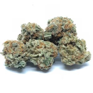 Mimosa THCA Flower Bulk Wholesale Orders